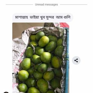 499525723_1082251520626322_3820800563410862607_n